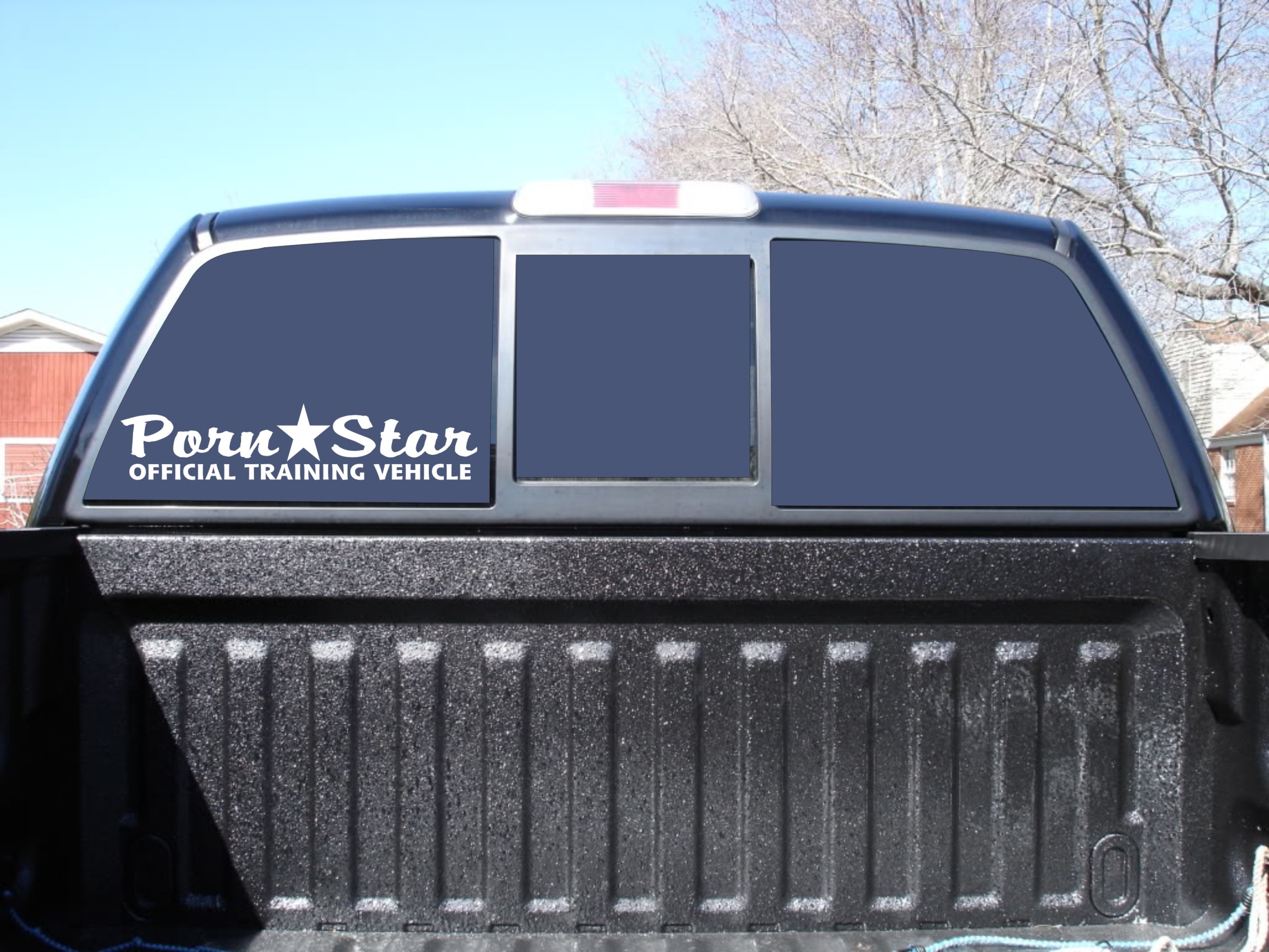3413px x 2560px - Porn Star Official Training Vehicle Vinyl Decal